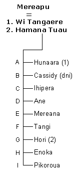 Whakapapa Mereapu Tangaere