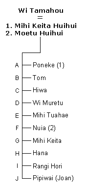 Whakapapa Wi Tamahou Waikari